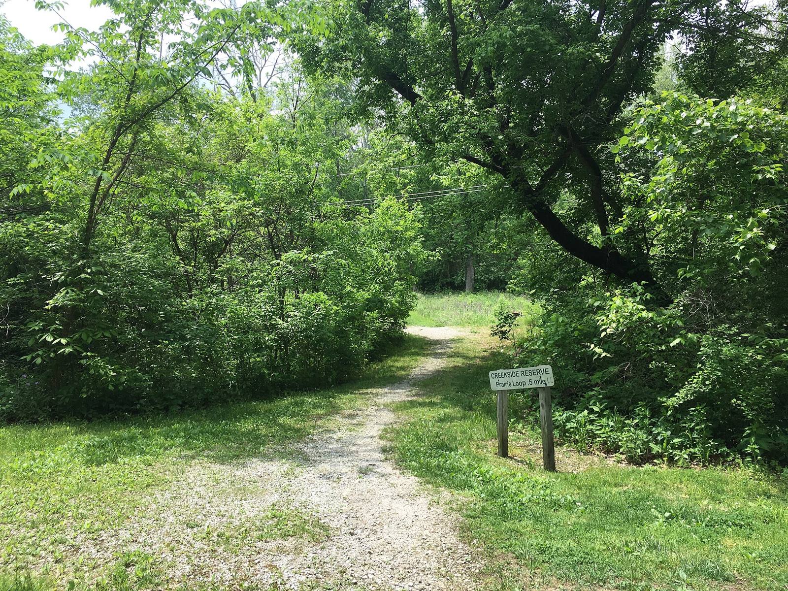 Creekside Reserve trail in Beavercreek